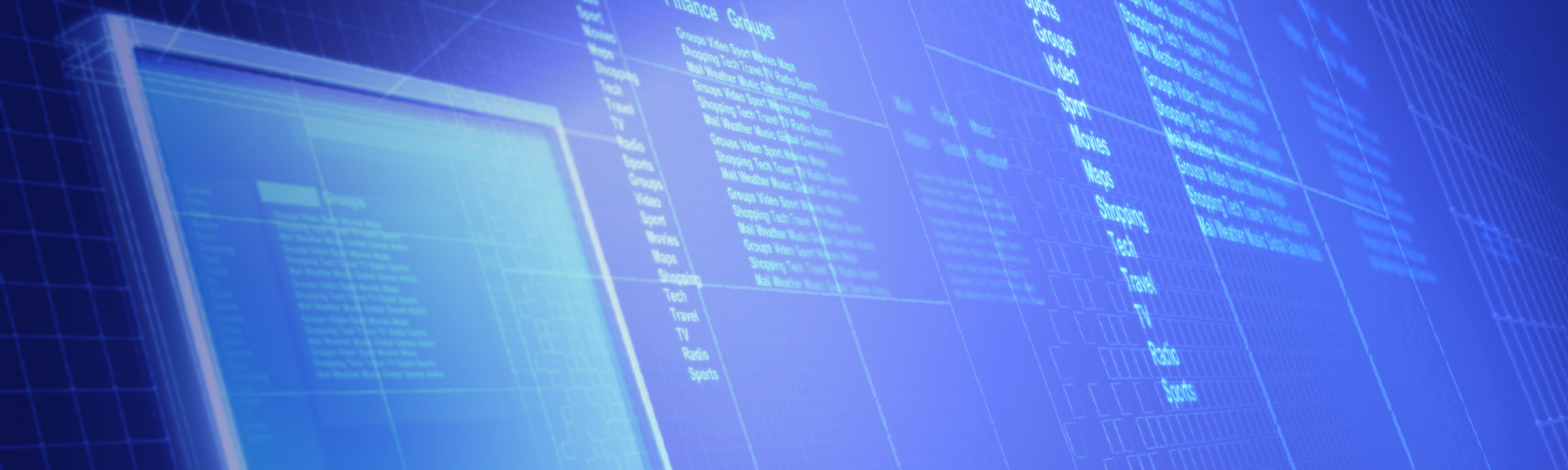 Software Product Management