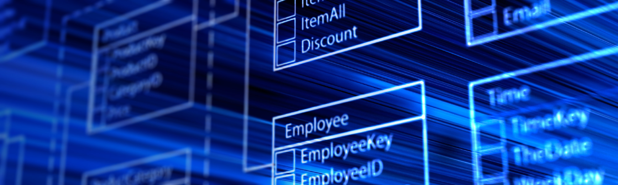Business Intelligence & Data Integration