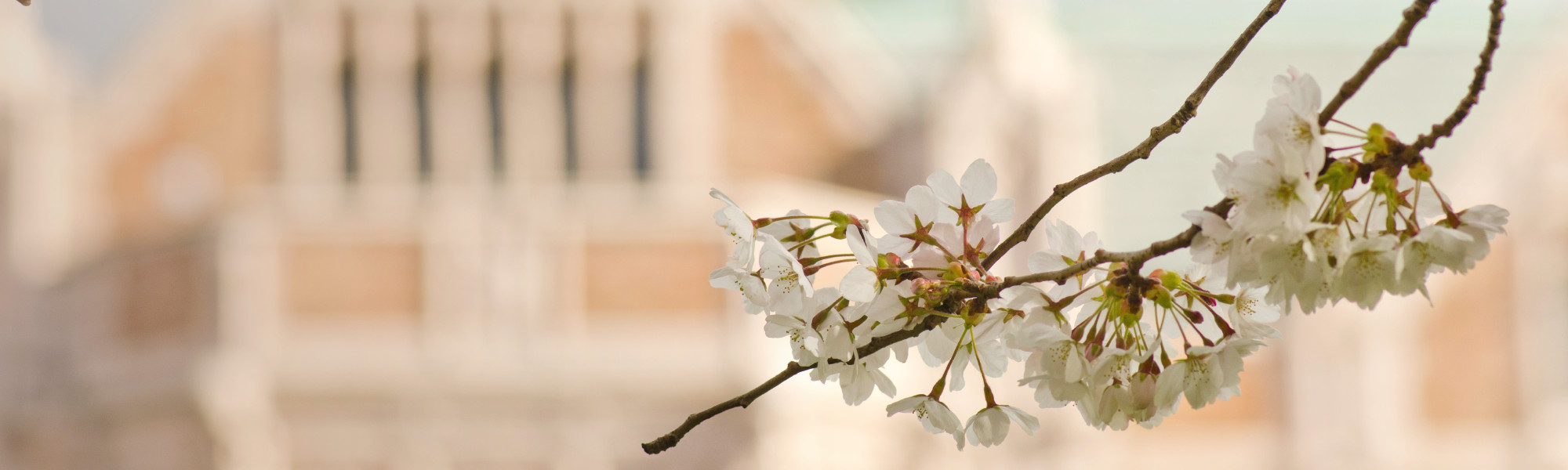 Families & Aging in a Social-Cultural Context (UCONJ DL442)