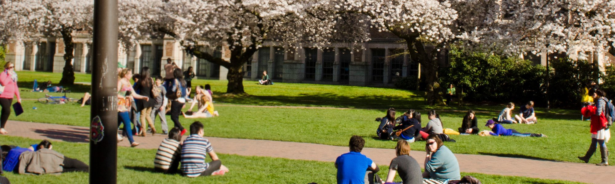 Master of Science in Information Management