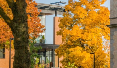 Master of Science in Computational Linguistics