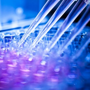 Biotech, Health Care & Social Work