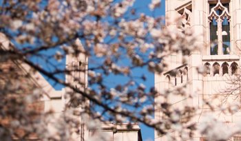 Online Master of Pharmaceutical Bioengineering