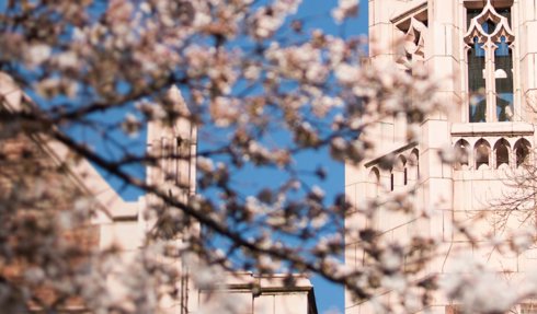 Online Master of Pharmaceutical Bioengineering