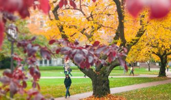 Online Master of Science in Civil Engineering: Construction Engineering