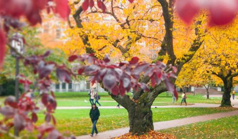 Online Master of Science in Civil Engineering: Construction Engineering