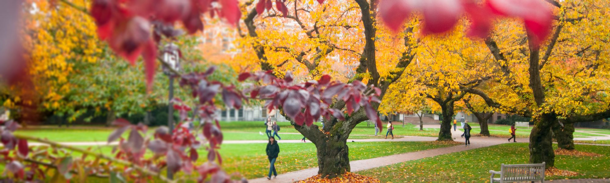 Master of Science in Speech-Language Pathology Application Tips