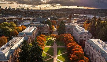 UW campus fall leaves