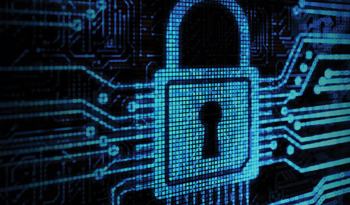 Find the Right Cybersecurity Program for You