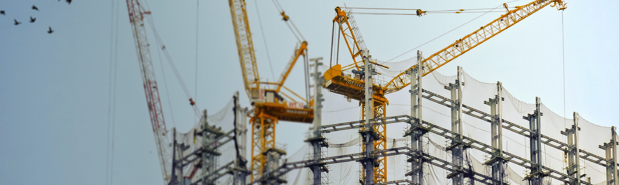 Certificate in Construction Management